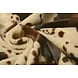 Velboa Indiaanse Paarden Estampado Marrón Velboa Indiaanse Paarden Estampado Marrón