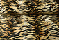Velboa Imprimé Tigre Velboa Imprimé Tigre