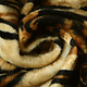 Velboa Tigerprint