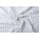 Dentelle Grossier Blanc