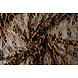 Encaje Flores Amber Naranja Claro Ladrillo Encaje Flores Amber Naranja Claro Ladrillo