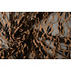 Dentelle Fleurs Amber Clair Orange Brique Dentelle Fleurs Amber Clair Orange Brique