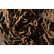 Encaje Flores Amber Naranja Claro Ladrillo Encaje Flores Amber Naranja Claro Ladrillo