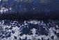 Malla Bordada con Lentejuelas Maria Azul Real Malla Bordada con Lentejuelas Maria Azul Real
