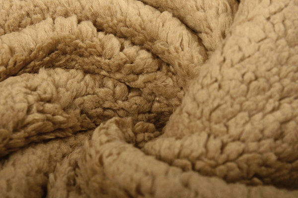 Teddy Light Mocha Brown Teddy Light Mocha Brown