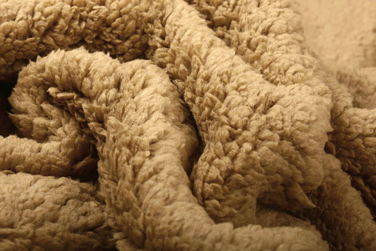 Teddy Light Mocha Brown Teddy Light Mocha Brown