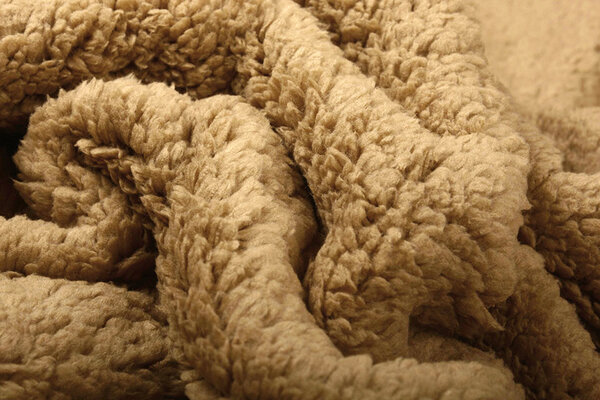 Teddy Light Mocha Brown Teddy Light Mocha Brown