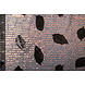 Lentejuelas sobre Malla Plumas Negro Lentejuelas sobre Malla Plumas Negro
