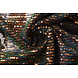 Paillettes su Mesh Piume Nero Paillettes su Mesh Piume Nero