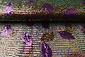 Lentejuelas sobre Malla Plumas Morado Lentejuelas sobre Malla Plumas Morado