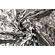 Lamé Rondo Argent Lamé Rondo Argent