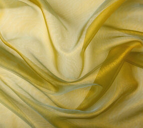 Organza Two-Tone Goud-Aqua