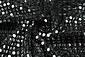 Lentejuelas sobre Lurex Plateado-Plateado