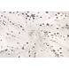 Mesh Ricamato Paillettes Juul Argento