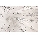 Mesh Ricamato Paillettes Juul Argento