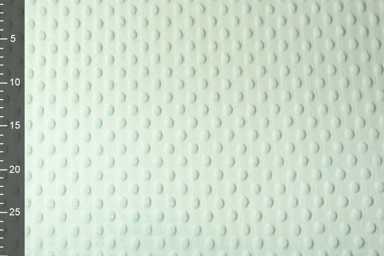 Minky Fleece Light Mint Green Minky Fleece Light Mint Green