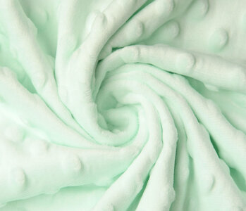 Minky Fleece Light Mint Green