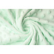 Minky Polar Menta Claro Verde Minky Polar Menta Claro Verde