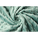 Minky Polar Jade - Verde Antiguo Minky Polar Jade - Verde Antiguo
