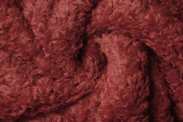 Hairy Fur Esperanto Wine Red