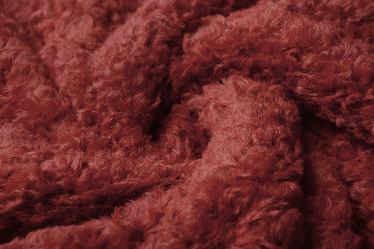 Hairy Fur Esperanto Wine Red