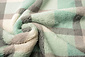 Curly Teddy Large Checkered Mint Green Curly Teddy Large Checkered Mint Green
