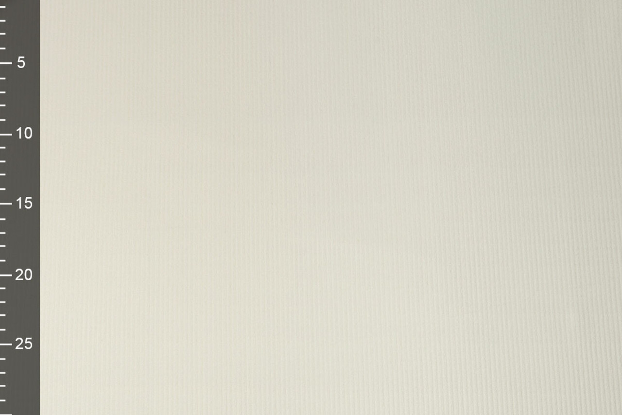 Unbleached Stretch Rib Fabric Coarse