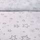 Luxury Organza  Stars Silver White