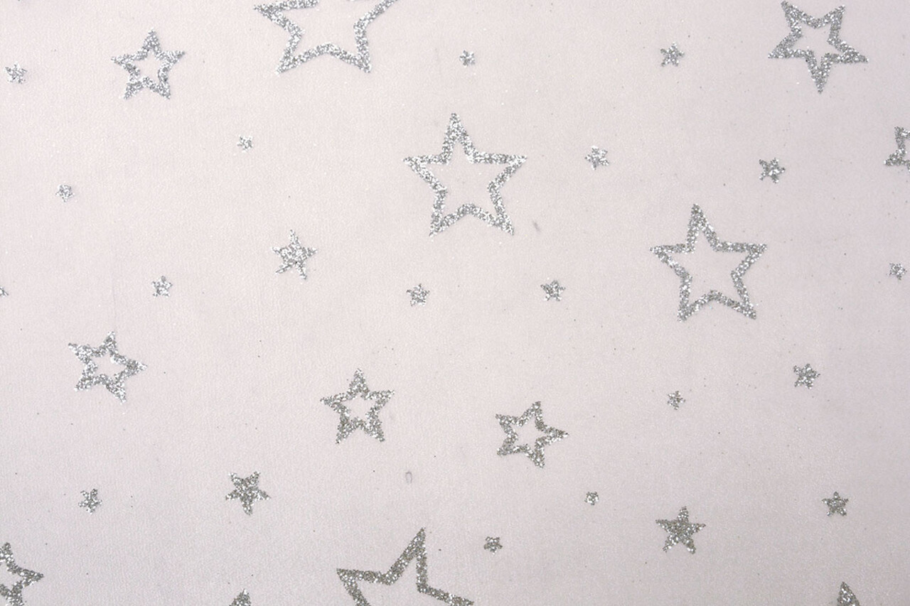Luxe Organza Sterren Zilver Wit