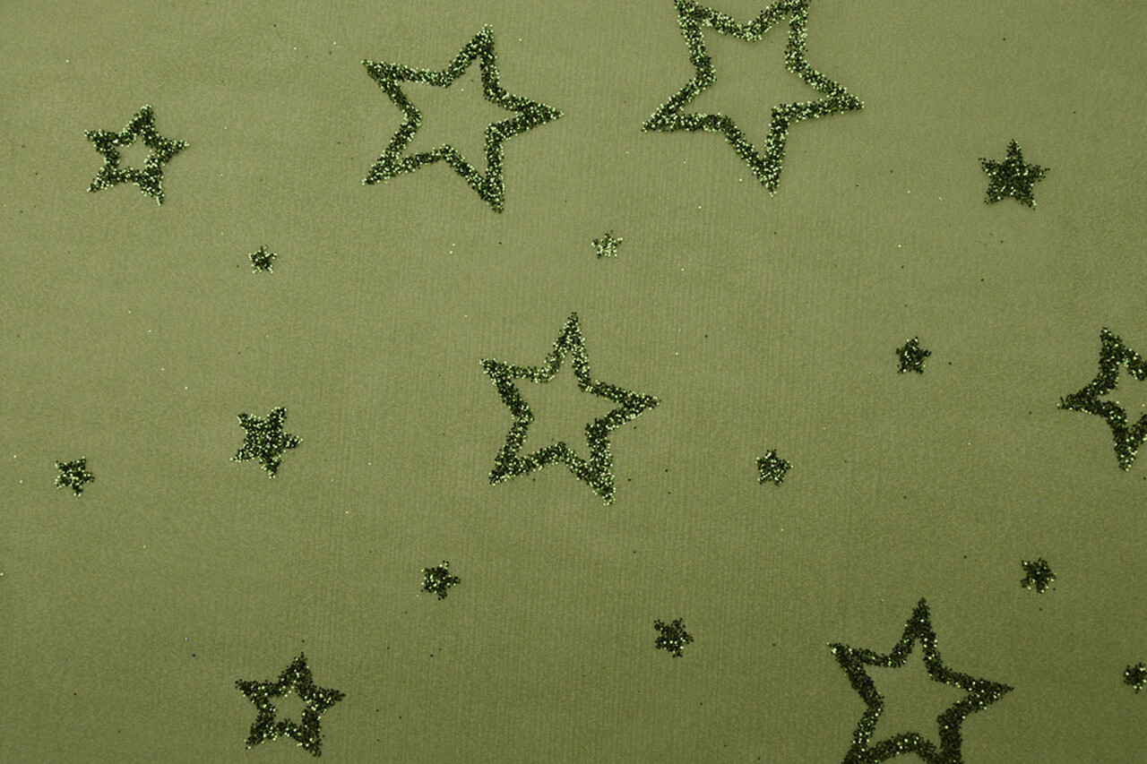 Luxe Organza Stelle Verde Luxe Organza Stelle Verde