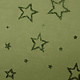 Luxury Organza Stars Green
