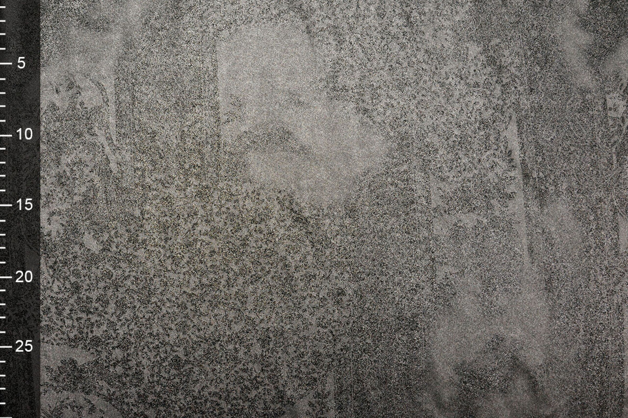 Jersey Lamé Lou Silver