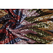 Lentejuelas sobre Malla ZigZag Mao Multicolor 2 Lentejuelas sobre Malla ZigZag Mao Multicolor 2
