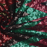 Paillettes su Mesh Zigzag Mao Multicolore 5