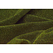 Lúrex Dans Verde Musgo Lúrex Dans Verde Musgo