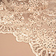 Mesh Embroidered  Sequins Quenya Champagne