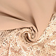Mesh Embroidered  Sequins Quenya Champagne