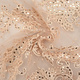 Mesh Embroidered  Sequins Quenya Champagne