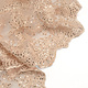 Mesh Embroidered  Sequins Quenya Champagne