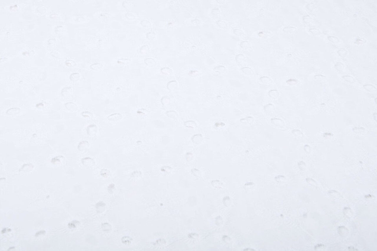 Stickerei Baumwoll  Koko  Weiß