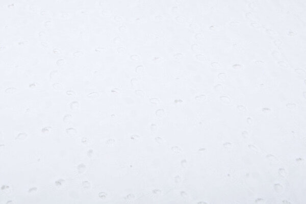 Broderie Katoen Koko Wit