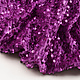 Sequins on Velvet Purple