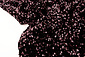 Paillettes su Velluto Nero - Rosa Antico Paillettes su Velluto Nero - Rosa Antico