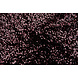 Lentejuelas sobre Terciopelo Negro - Rosa Antiguo