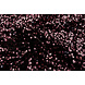 Lentejuelas sobre Terciopelo Negro - Rosa Antiguo
