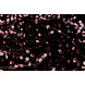 Lentejuelas sobre Terciopelo Negro - Rosa Antiguo