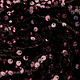 Sequins on Velvet Black - Old Pink