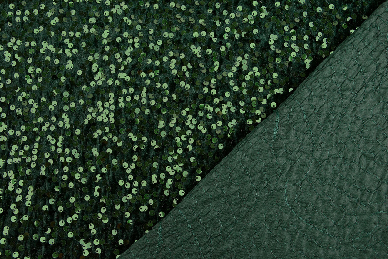 Lentejuelas sobre Terciopelo Verde Oscuro Lentejuelas sobre Terciopelo Verde Oscuro