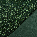 Lentejuelas sobre Terciopelo Verde Oscuro Lentejuelas sobre Terciopelo Verde Oscuro