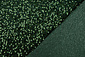 Paillettes su Velluto Verde Scuro Paillettes su Velluto Verde Scuro